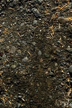Ground Surface With Small Pebbles and Wood Shavings Stock Photos