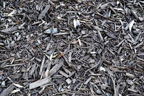 Ground Texture Image 스톡 사진