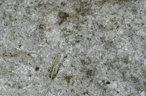 Ground Texture Stock Photos