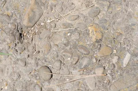 Ground Texture Stock Photos