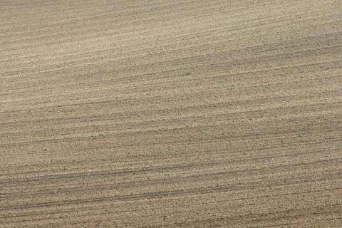 Ground texture Stock Photos