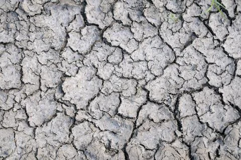 Ground texture Stock Photos