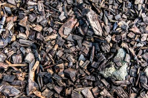 Ground texture Foto stock