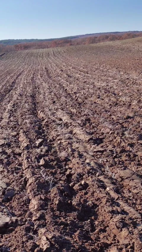 Ground texture, ploughed field, lateral motion view, vertical reels Stock Footage 283344725