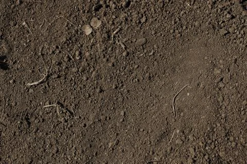 Ground texture. Top view of dark soil surface. Earth background with copyspac Stock Photos