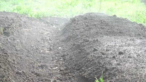 From the ground there is evaporation after rain Stock Footage 134869558