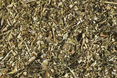 Ground tree branches for fertilizer Stock Photos