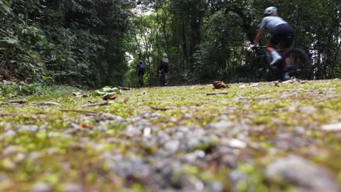 Ground view of forest with bicycles passing Video stock 231210179