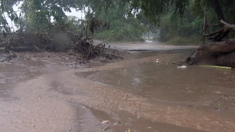 Ground view of puddles on forest during heavy rain  Stock Footage 129734848