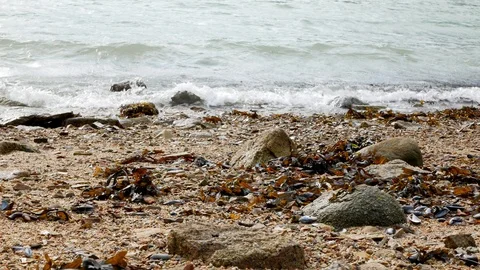 Ground view of waves crashing on the beach during winter in Alaska Stock-Footage 122013703