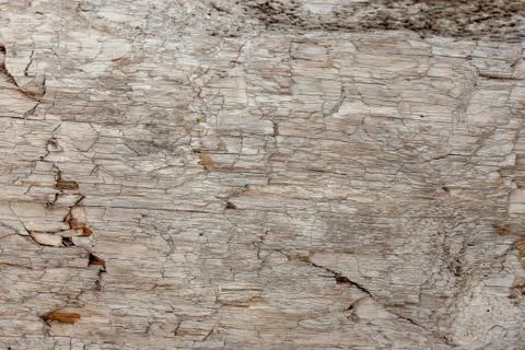 Ground, Wall surface texture for decoration background Stock Photos