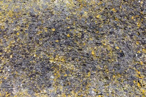 Ground, Wall surface texture for decoration background Stock Photos