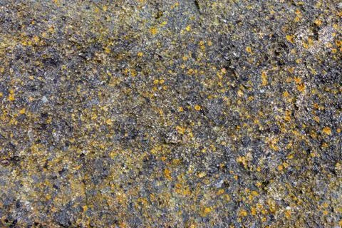 Ground, Wall surface texture for decoration background Stock Photos