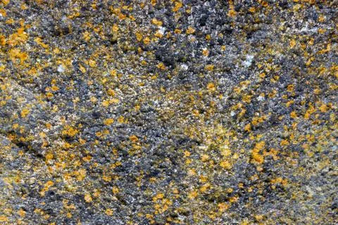 Ground, Wall surface texture for decoration background Stock Photos