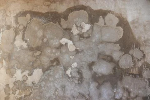 Ground, Wall surface texture for decoration background Stock Photos