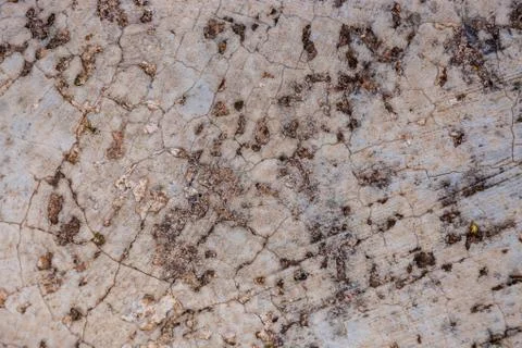 Ground, Wall surface texture for decoration background Stock Photos