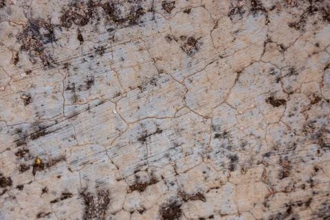 Ground, Wall surface texture for decoration background Stock Photos
