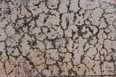 Ground, Wall surface texture for decoration background Stock Photos