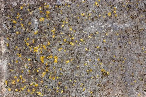 Ground, Wall surface texture for decoration background Stock Photos