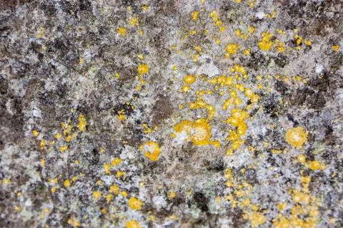 Ground, Wall surface texture for decoration background Stock Photos