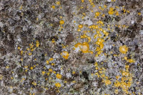 Ground, Wall surface texture for decoration background Stock Photos