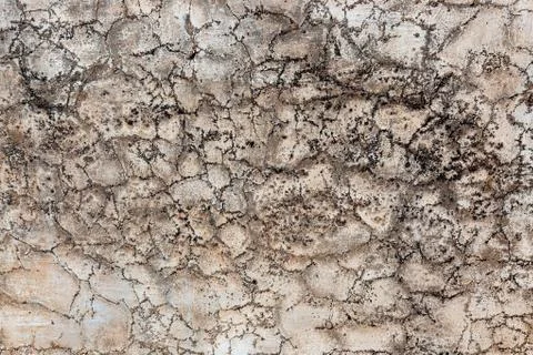 Ground, Wall surface texture for decoration background Foto stock