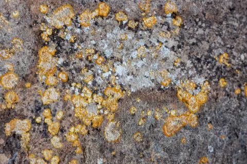 Ground, Wall surface texture for decoration background Stock Photos