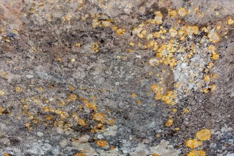 Ground, Wall surface texture for decoration background Stock Photos