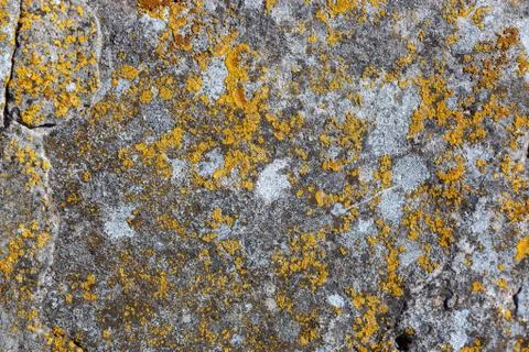 Ground, Wall surface texture for decoration background Foto stock