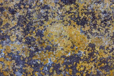 Ground, Wall surface texture for decoration background Stock Photos