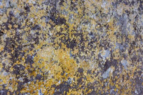 Ground, Wall surface texture for decoration background Stock Photos