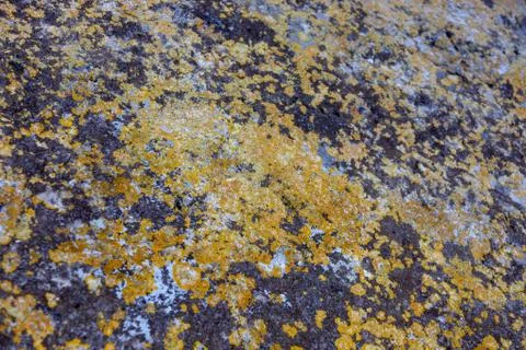 Ground, Wall surface texture for decoration background Stock Photos