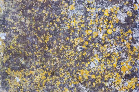 Ground, Wall surface texture for decoration background Stock Photos