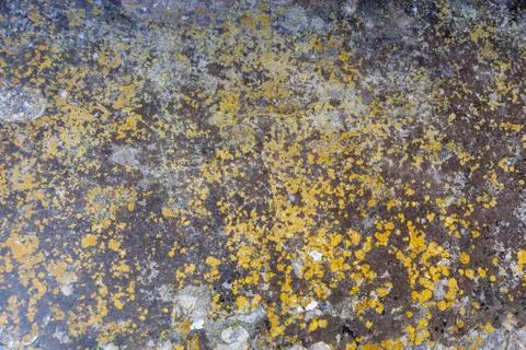 Ground, Wall surface texture for decoration background Stock Photos