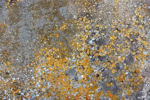 Ground, Wall surface texture for decoration background Stock Photos