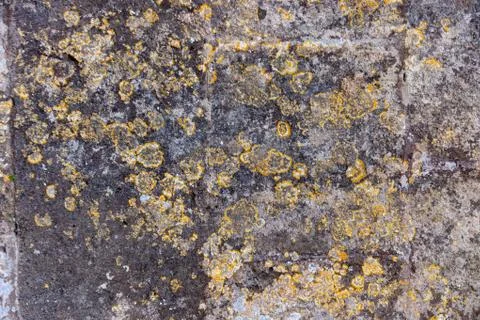 Ground, Wall surface texture for decoration background Stock Photos