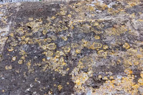 Ground, Wall surface texture for decoration background Stock Photos