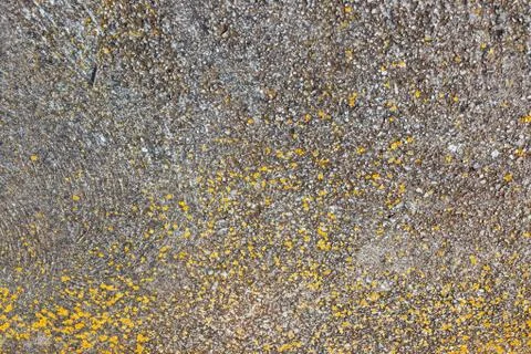 Ground, Wall surface texture for decoration background Stock Photos
