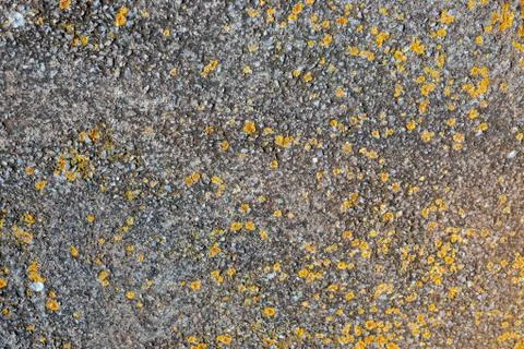 Ground, Wall surface texture for decoration background Stock Photos