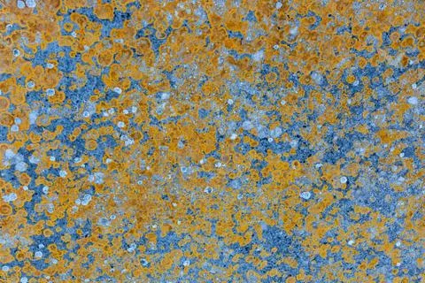 Ground, Wall surface texture for decoration background Foto stock