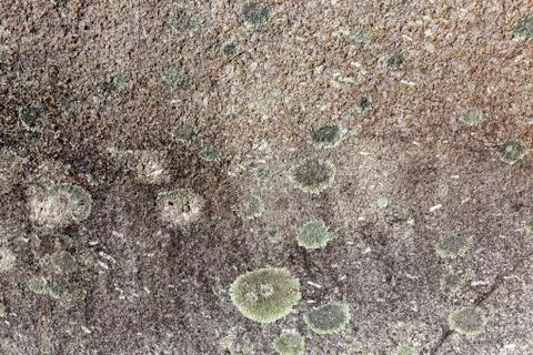 Ground, Wall surface texture for decoration background Stock Photos