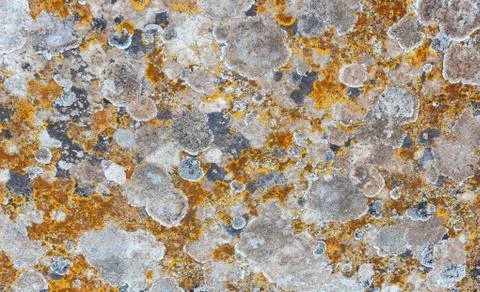 Ground, Wall surface texture for decoration background Stock Photos
