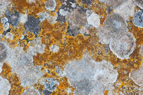 Ground, Wall surface texture for decoration background Stock Photos