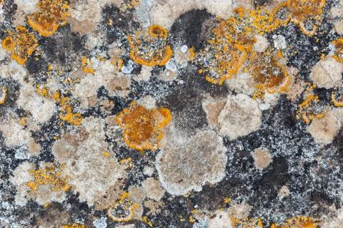 Ground, Wall surface texture for decoration background Foto stock