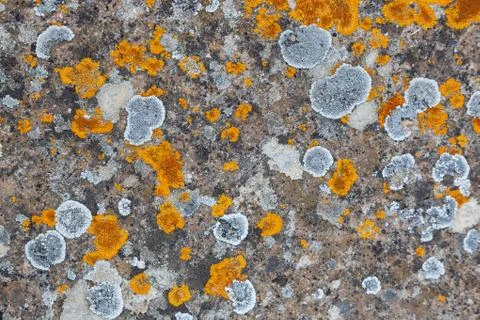 Ground, Wall surface texture for decoration background Stock Photos