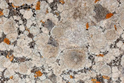 Ground, Wall surface texture for decoration background Stock Photos