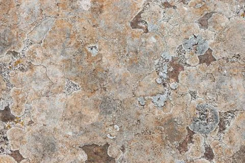 Ground, Wall surface texture for decoration background Stock Photos