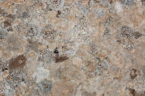 Ground, Wall surface texture for decoration background Stock Photos
