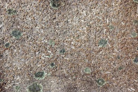 Ground, Wall surface texture for decoration background Stock Photos