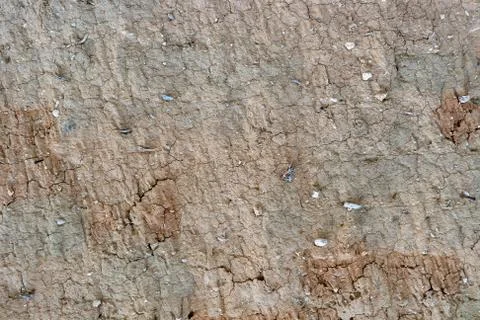 Ground, Wall surface texture for decoration background Stock Photos